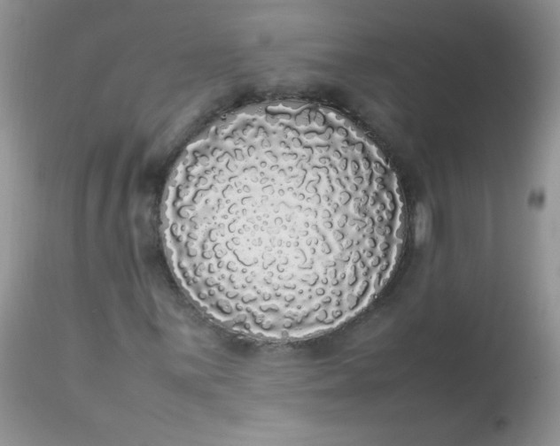 X0000113071059200909182019