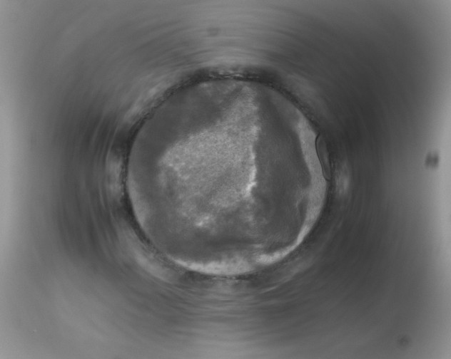 X0000113071060200909182019