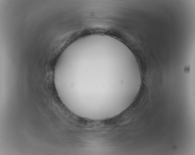 X0000113071061200909182019