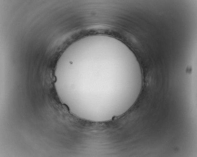 X0000113071062200909182019