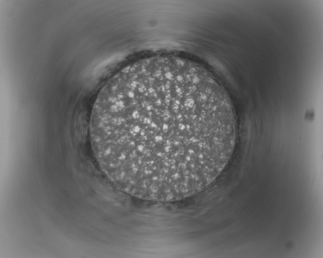 X0000113071063200909182019