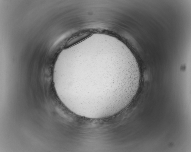 X0000113071064200909182019