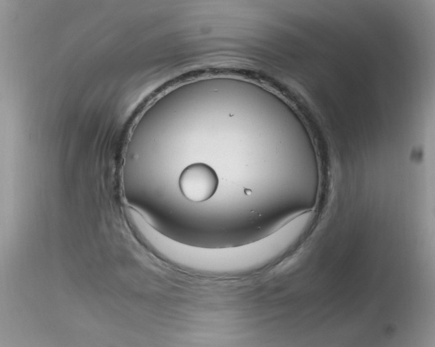 X0000113071065200909182019