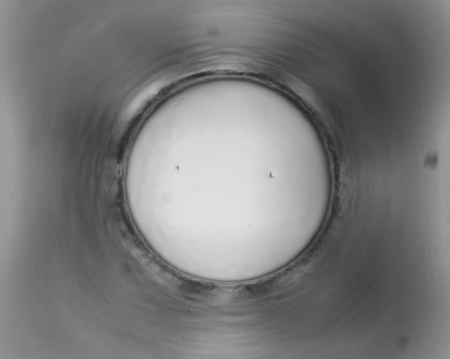 X0000113071067200909182019