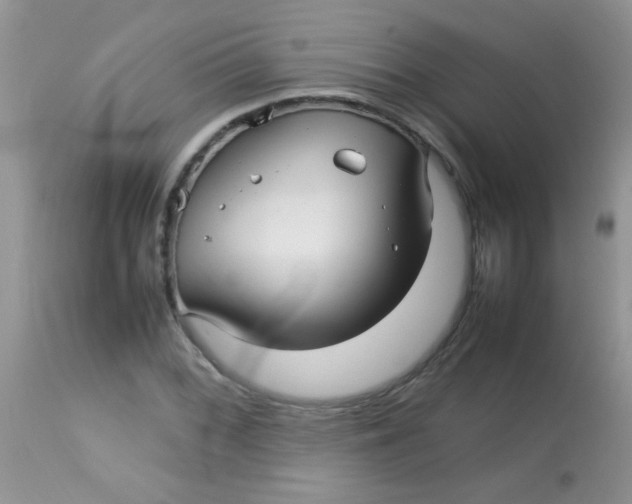 X0000113071068200909182019