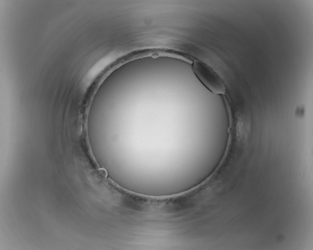 X0000113071069200909182019