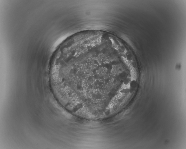 X0000113071071200909182019