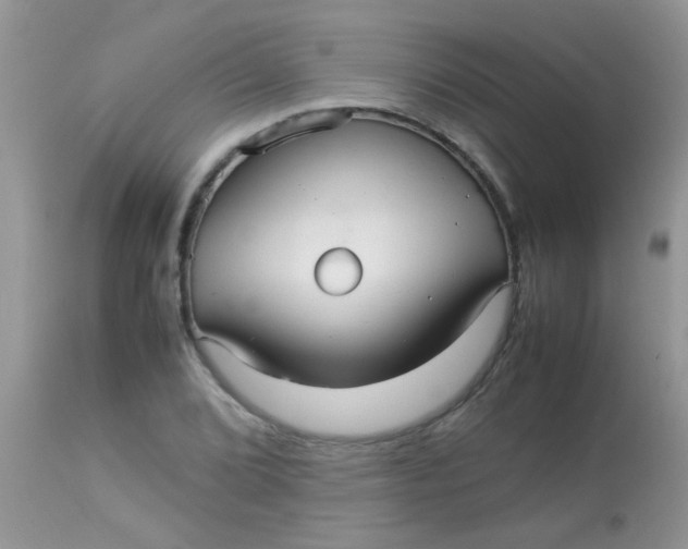 X0000113071072200909182019