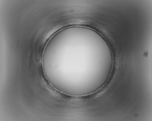 X0000113071073200909182019