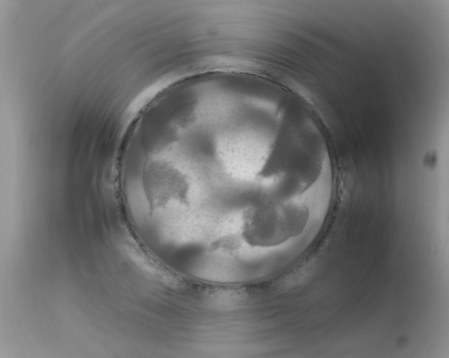 X0000113071074200909182019