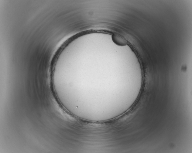 X0000113071076200909182019