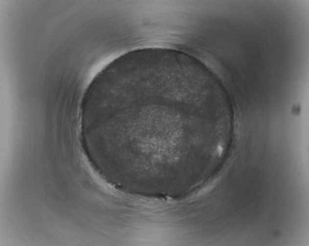 X0000113071077200909182019