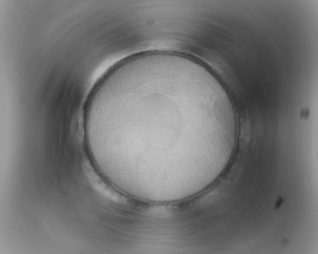 X0000113071078200909182019