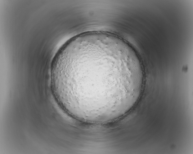 X0000113071079200909182019