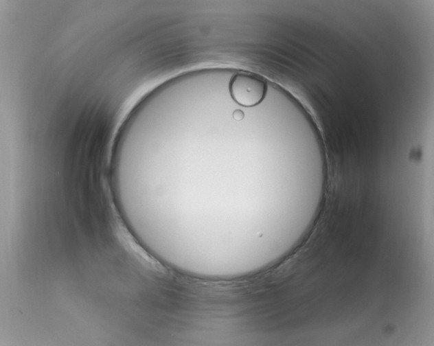 X0000113071080200909182019