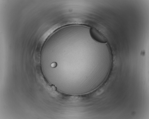 X0000113071081200909182019