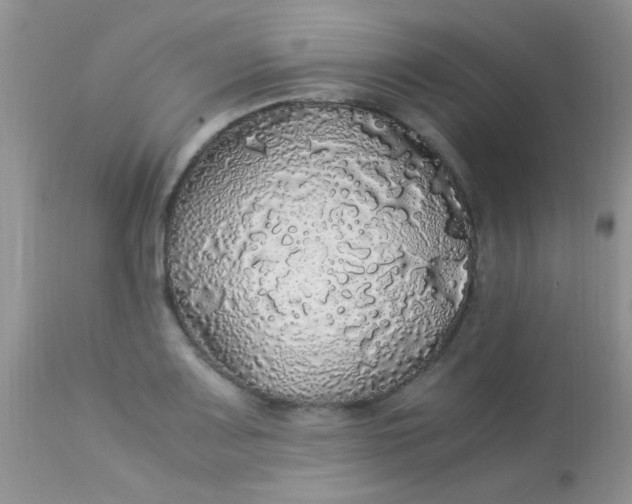 X0000113071083200909182019