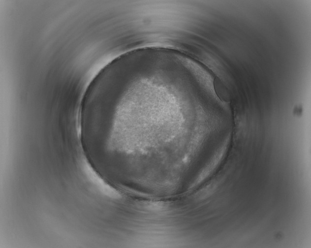 X0000113071084200909182019