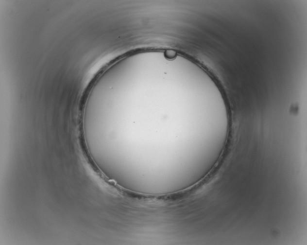 X0000113071085200909182019