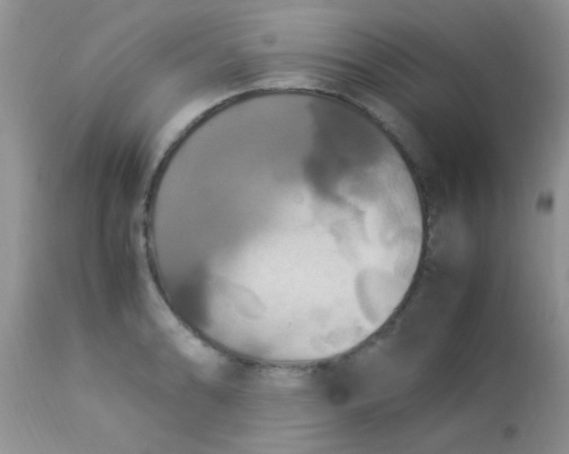 X0000113071086200909182019