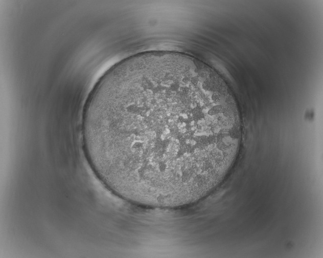 X0000113071087200909182019