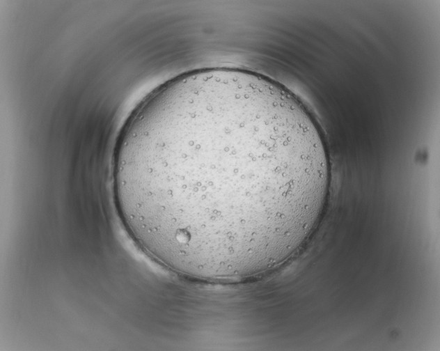 X0000113071088200909182019