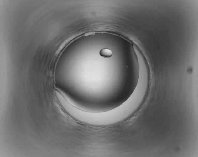 X0000113071089200909182019