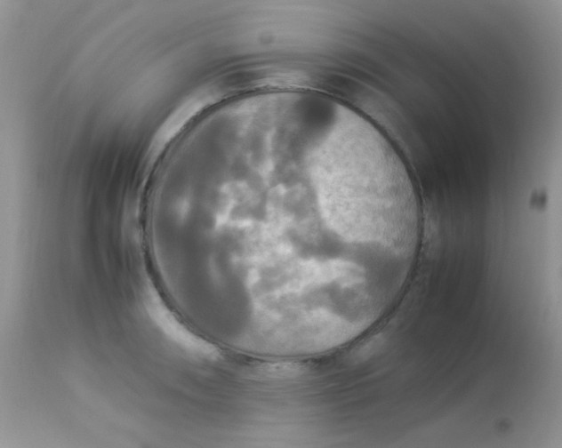 X0000113071090200909182019