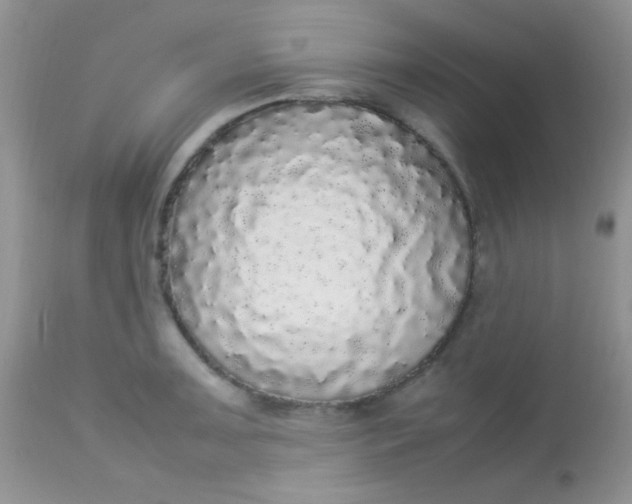 X0000113071091200909182019