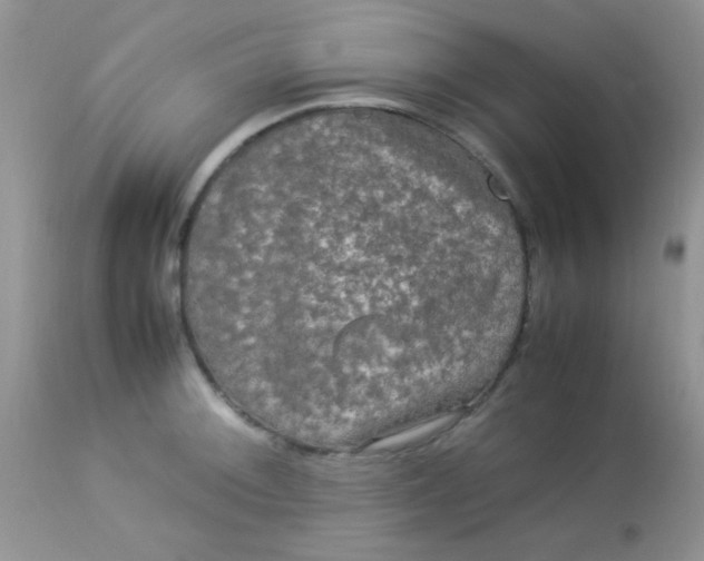 X0000113071092200909182019