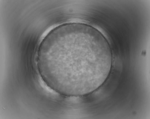 X0000113071094200909182019