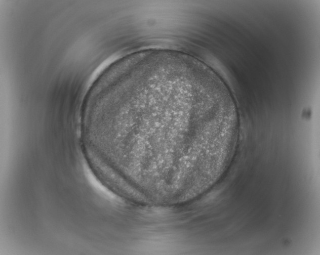 X0000113071095200909182019