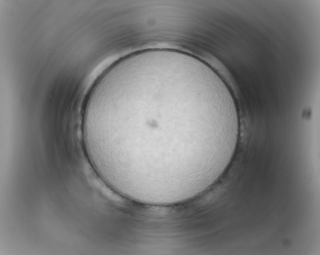 X0000113071096200909182019