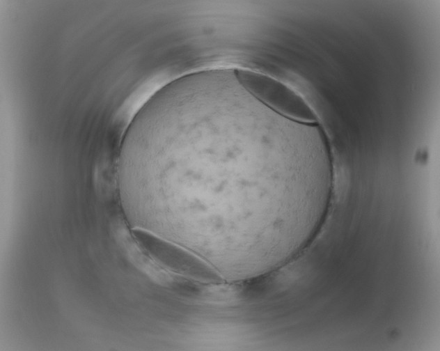 X0000113071097200909182019