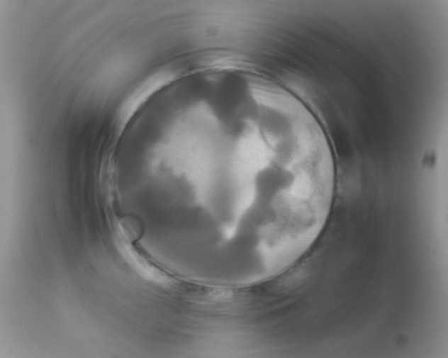 X0000113071098200909182019