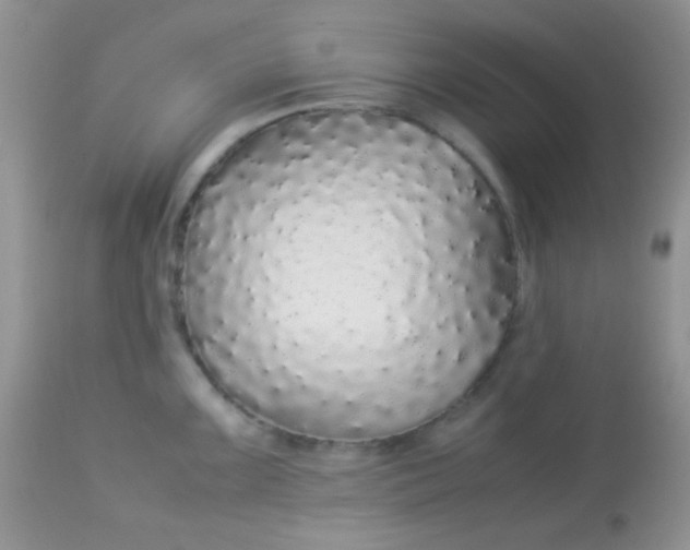 X0000113071099200909182019