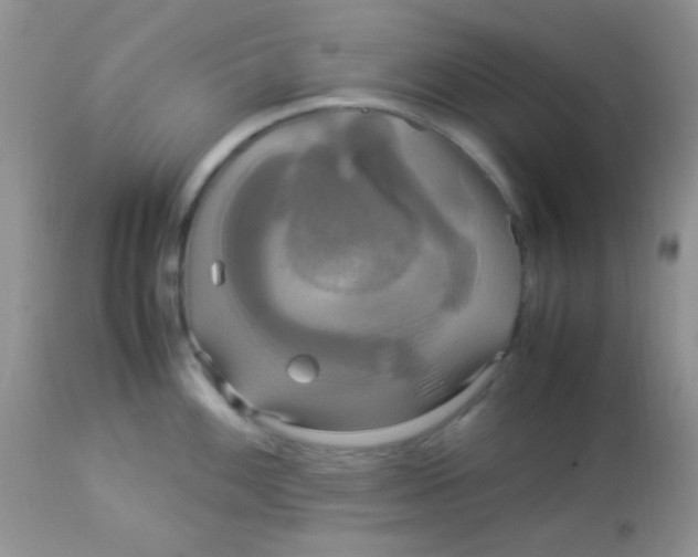 X0000113071100200909182019