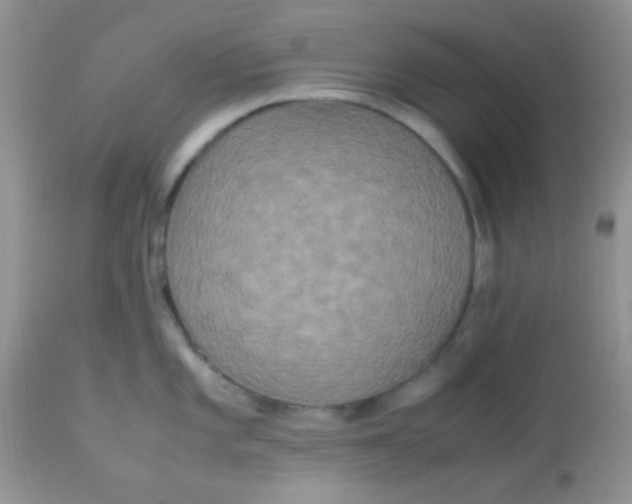 X0000113071101200909182019