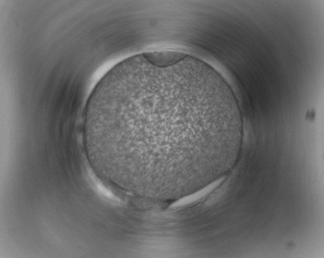 X0000113071102200909182019