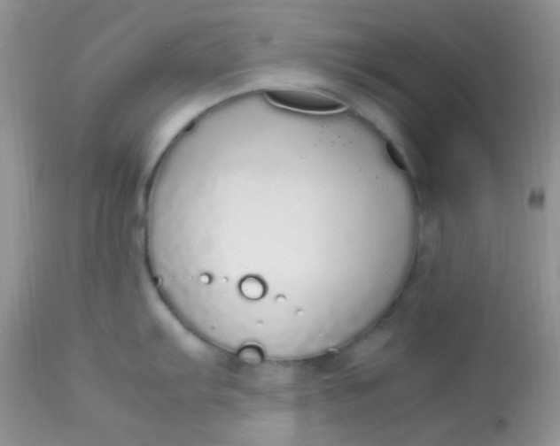 X0000113071103200909182019