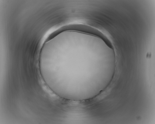 X0000113071104200909182019