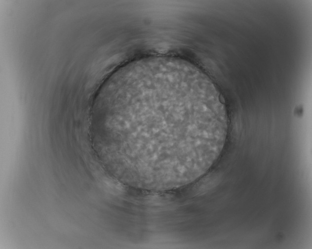 X0000113071105200909182018