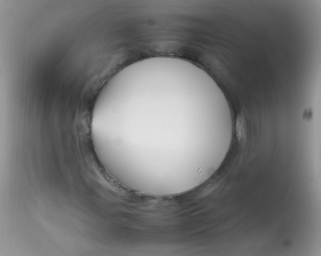 X0000113071107200909182018