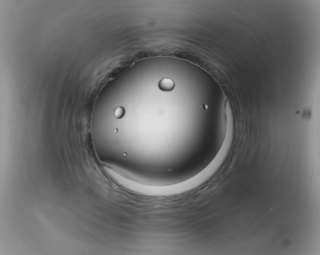 X0000113071108200909182018