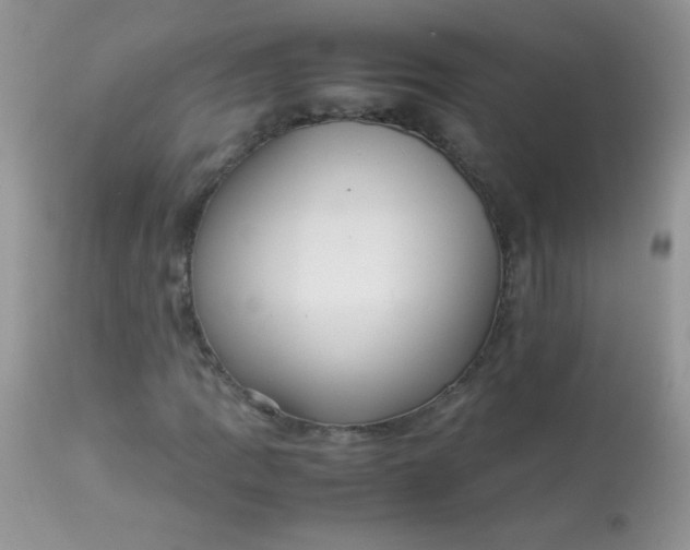 X0000113071109200909182018