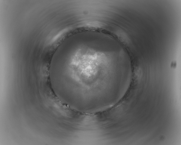 X0000113071110200909182018