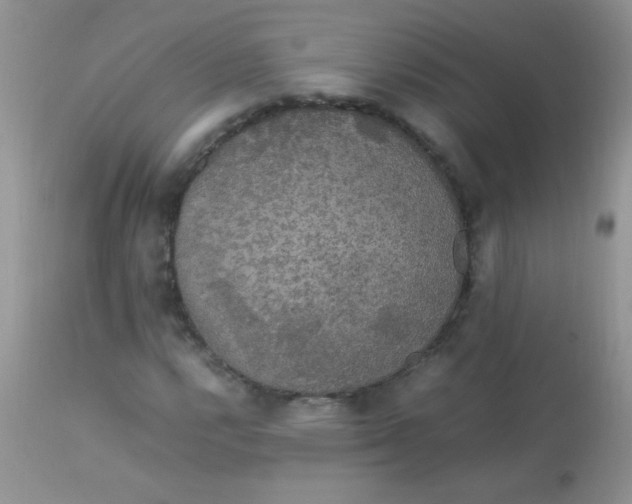 X0000113071112200909182018