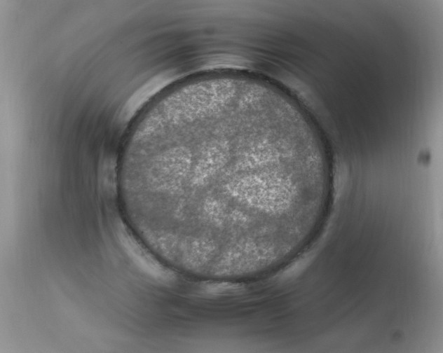 X0000113071113200909182018