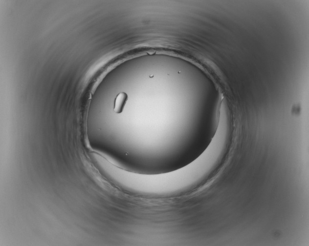 X0000113071114200909182018