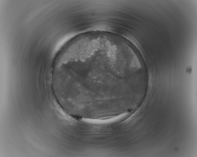 X0000113071115200909182018